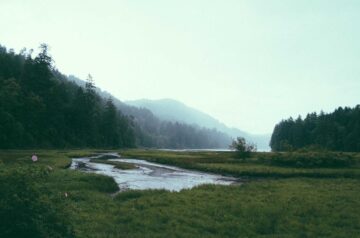 The Future of Minimalist UI/UX Design