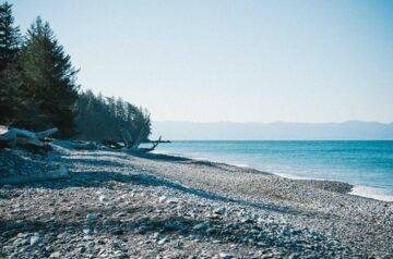 Balancing Creativity and Productivity Remotely