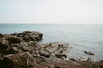 Mastering CSS Grid and Flexbox Layouts
