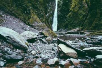 AI Tools Revolutionizing the Developer Workflow